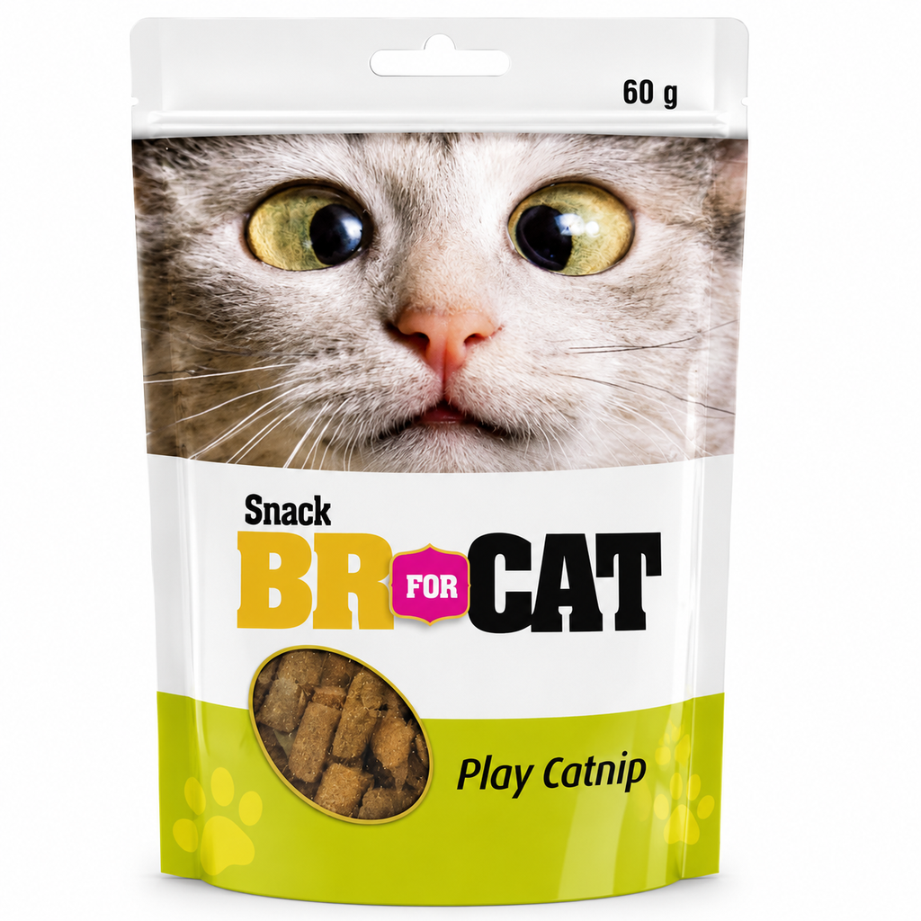 Snack BR Play Catnip